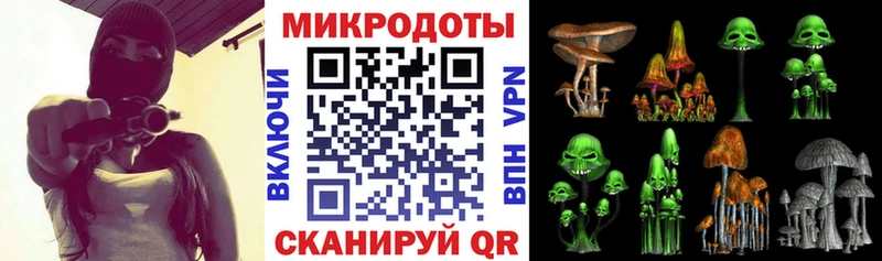 Псилоцибиновые грибы прущие грибы Лабинск