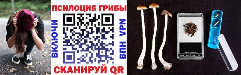 Псилоцибиновые грибы Psilocybe Лабинск